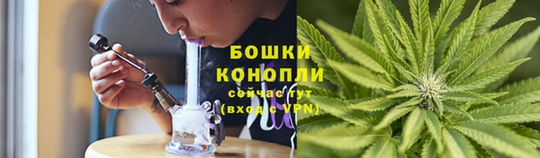 соль ск Гусь-Хрустальный