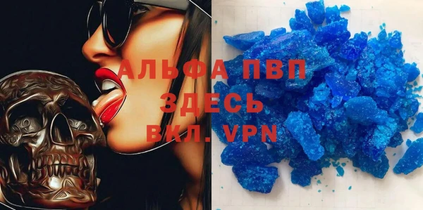 гидра Гусиноозёрск