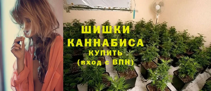 Канабис индика  Дудинка 